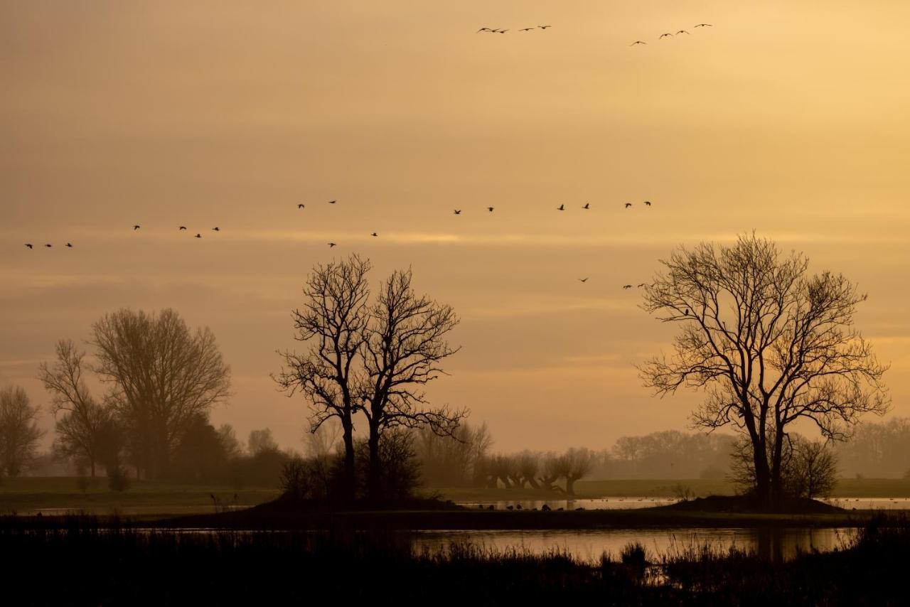 De Stadsboerderij Kampen Luaran gambar