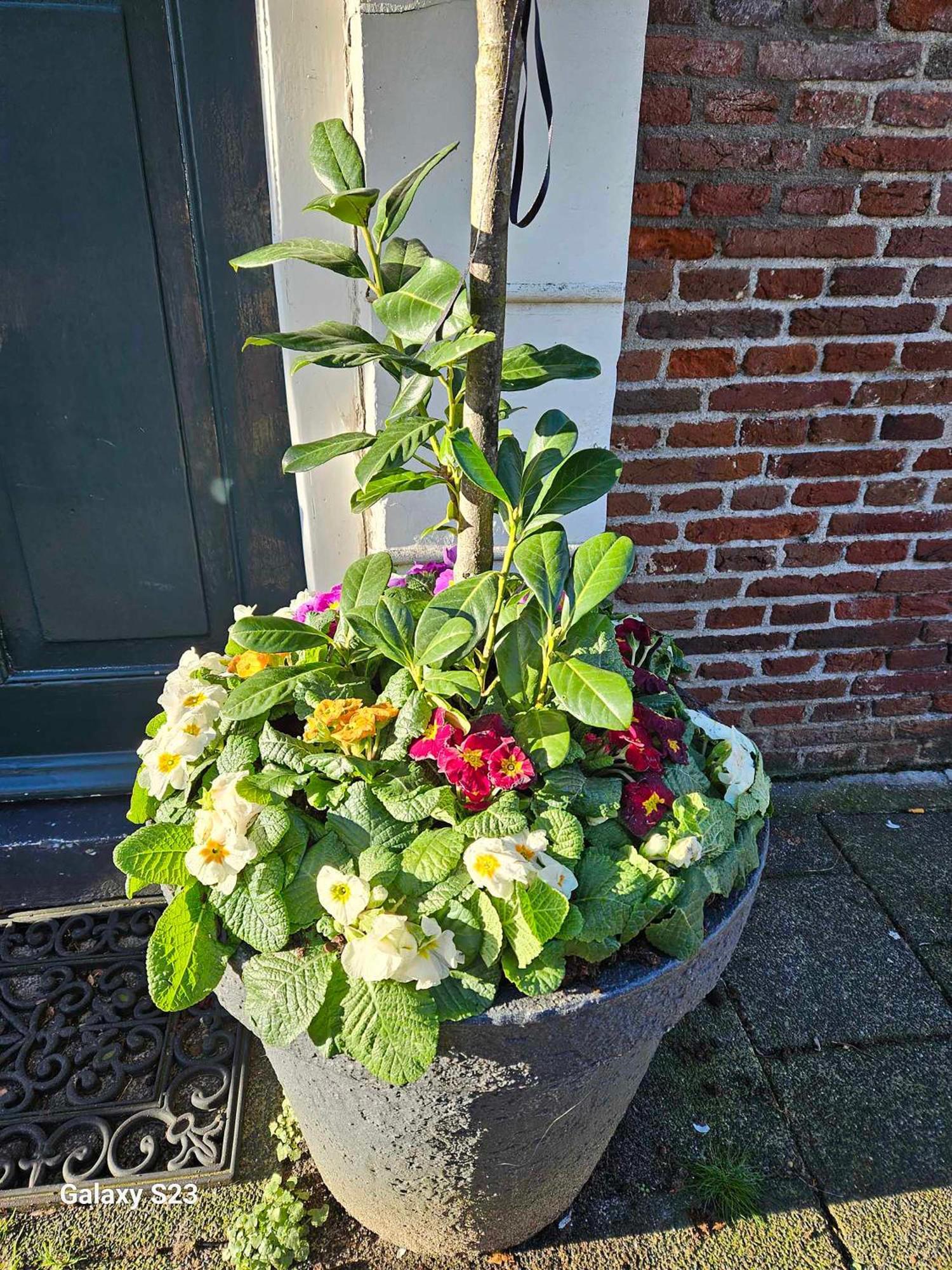 De Stadsboerderij Kampen Luaran gambar
