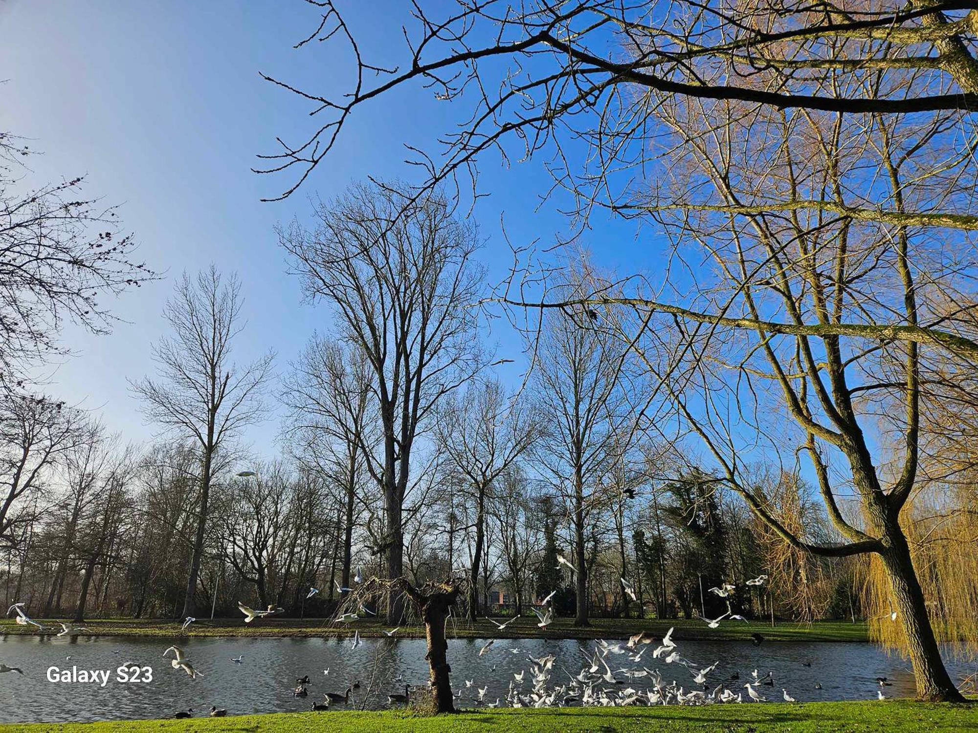 De Stadsboerderij Kampen Luaran gambar